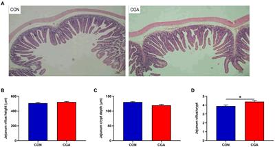 Chlorogenic acid improves growth performance of weaned rabbits via modulating the intestinal epithelium functions and intestinal microbiota